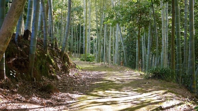 長府庭園で季節の花をたのしむ