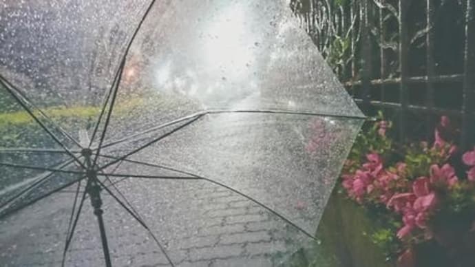 いよいよ大阪も梅雨入り