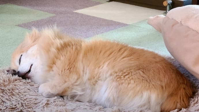 私も見てきましたよ(^_-)-☆
