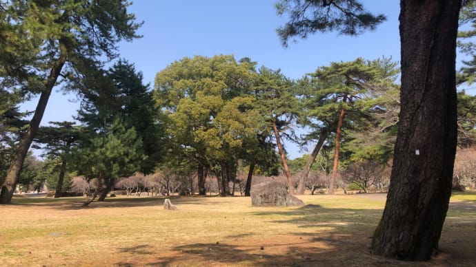 別府公園