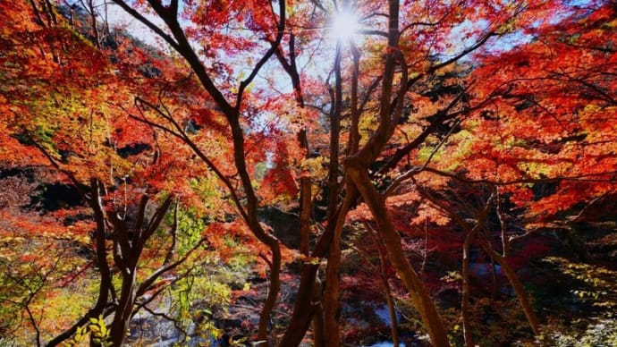 秋の昇仙峡 その3(山梨県甲府市 2023.11.13撮影)