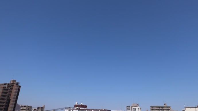 春が来たかも。