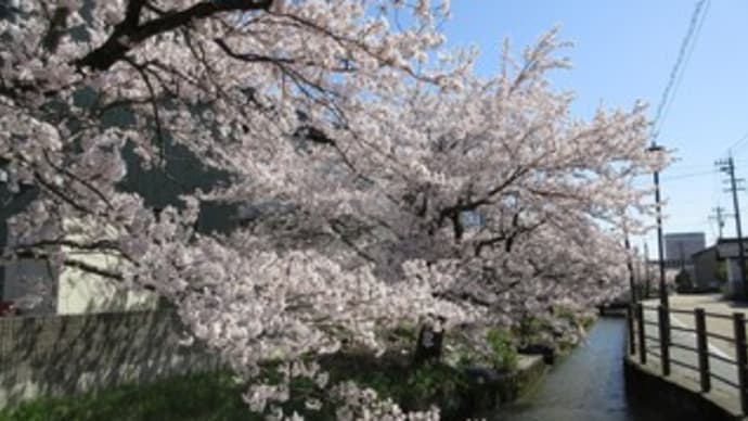 富山一泊二日の旅②　富山市内　富岩運河環水公園