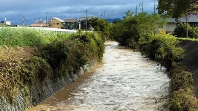 松山地方に豪雨!(11月2日)