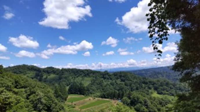夏雲・ネジバナ