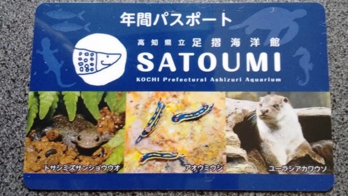 年間パスポート更新~海洋館SATOUMI