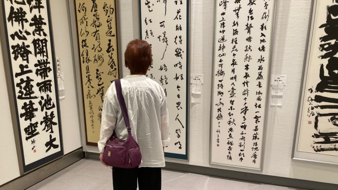 クウちゃんの血統書と遺伝子検査