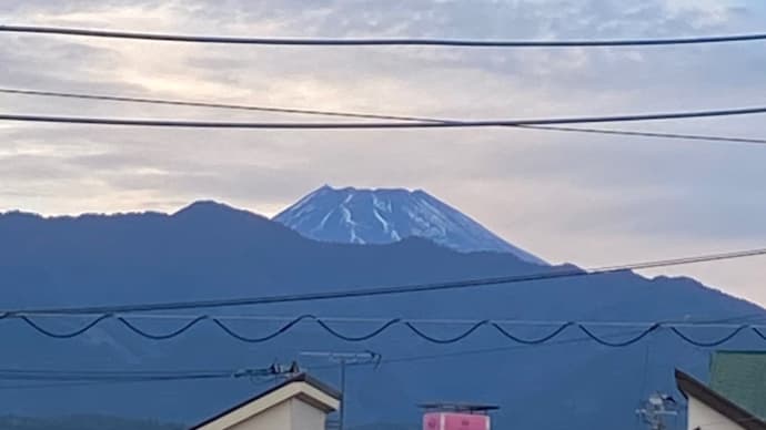 富士山も駿河湾も見えました