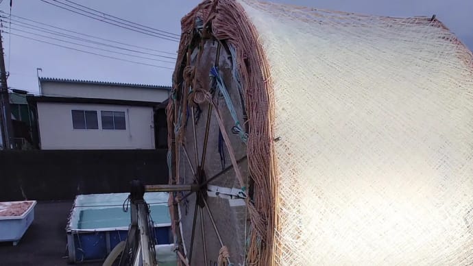 令和3年度船橋三番瀬海苔の種付