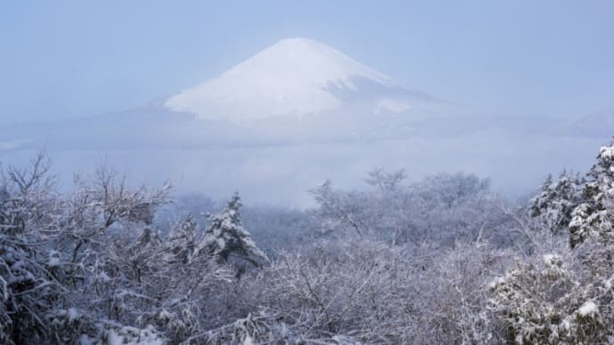 足柄峠の霧氷＆パール富士