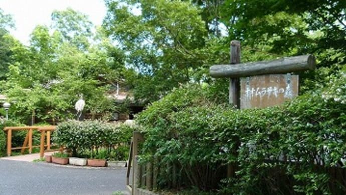蝶の季節・・・蝶の里公園で・・・ルリタテハに逢いました