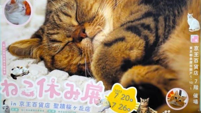 「ねこ休み展」/京王百貨店聖蹟桜ヶ丘店