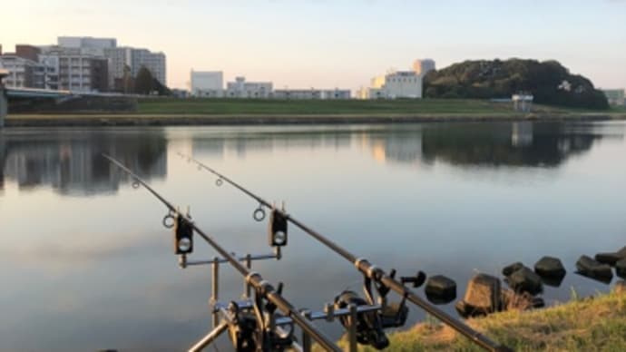 11月10日の鯉釣り