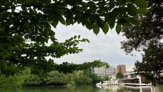 洗足池公園～２０２４年紫陽花の季節