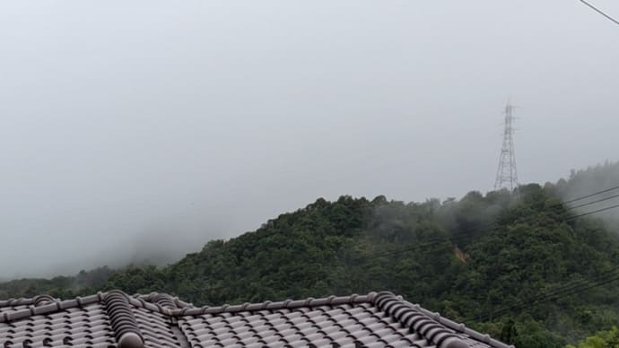 高龗神の言葉 プロポリスが効いたのかな?