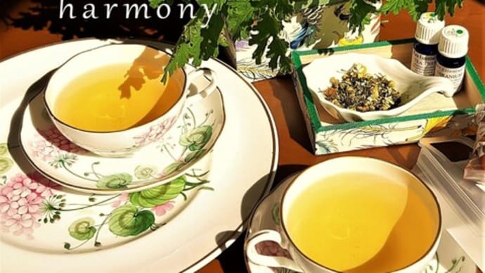 ありがとうございました「寺ット.アート」のお話:Catch up about “harmony - terratto. art” in Hosenji, Waseda