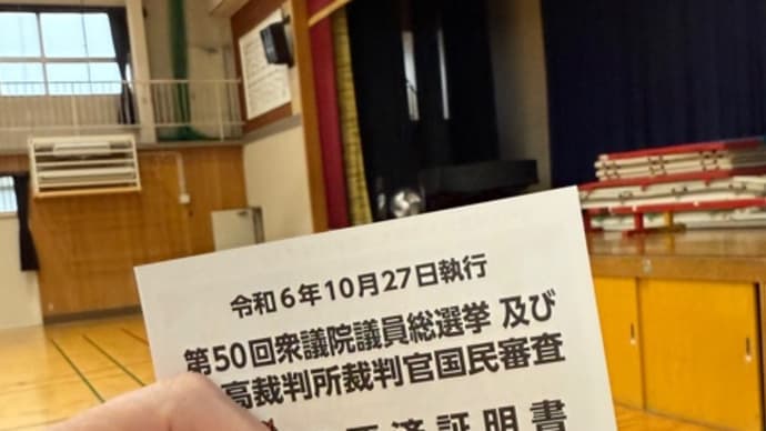 投票に