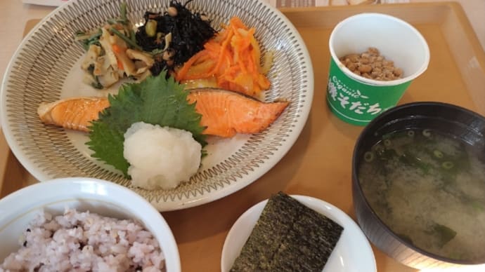 和食モーニングに朝散歩