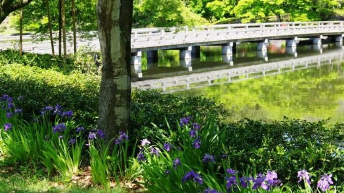 2025年 4月30日(水)の「国営昭和記念公園」(5)