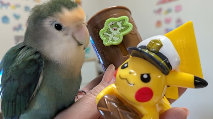 好きなものを食べて好きな歌を聴いて歌って🍀