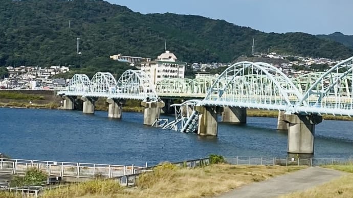 和歌山頑張れ‼️