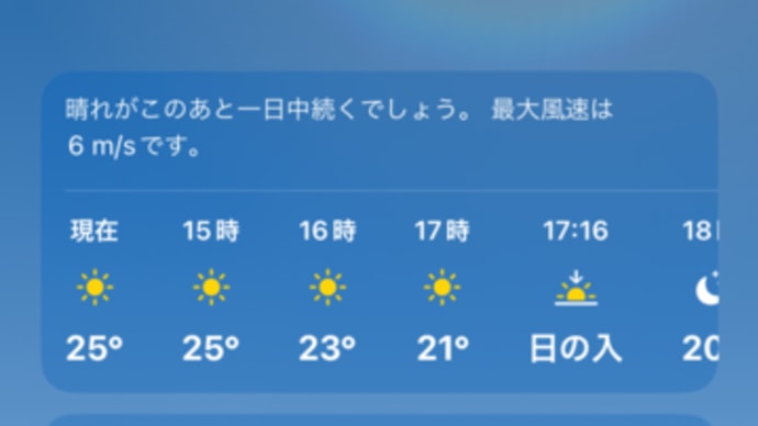 11月なのに夏日(気温25度) 2023年11月02日