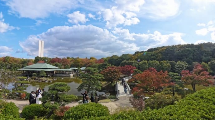 大仙公園 日本庭園(2024年11月23日)