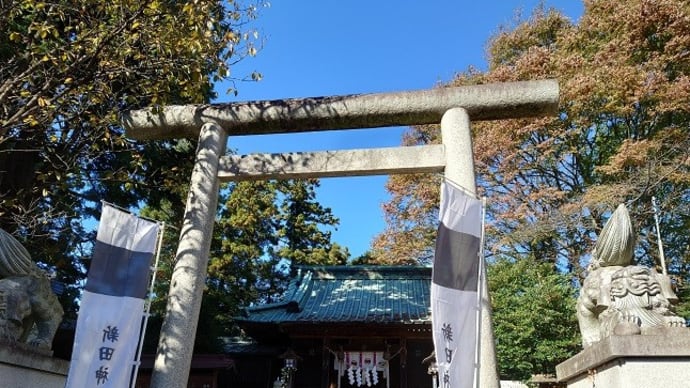 新田金山城