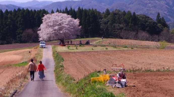 一本道の先