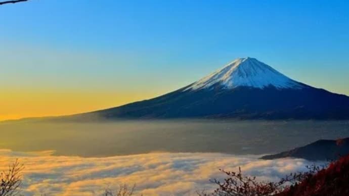 正月の風物詩