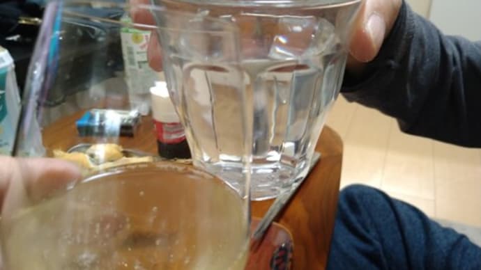 串揚げパーティー いつかの