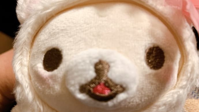 ❤️242❤️猫の日にネコネコツアー2021❤️