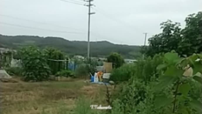 「土壌改良をお得意様の司建設様に任せたら・・・」の巻