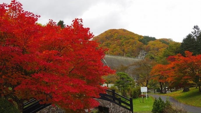 中野ダム公園と笹流ダムの紅葉