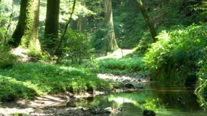 道のある風景 続き