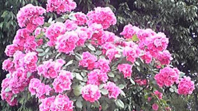 8月(M.K)