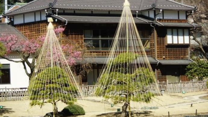 2025年 2月14日(金)の「文京区立肥後細川庭園」
