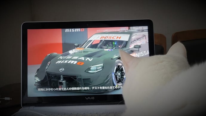 車好き?
