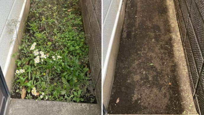 個人邸敷地内の雑草の草むしり作業