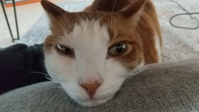 風が強い日