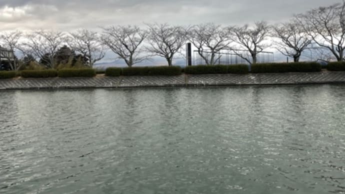 やっぱり釣れる豆バッツ‼️