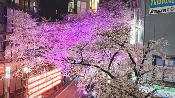 渋谷 さくら坂 2021年 (iPhone XRで撮りました)