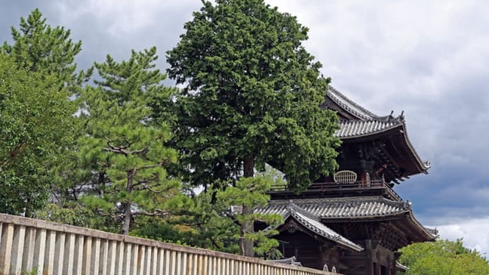 成道山 松安院 大樹寺(愛知県岡崎市鴨田町広元)