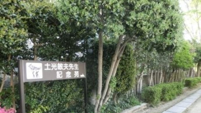 天神山の守り神 (岡山市内路面電車・番町線)