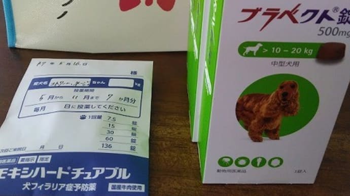 フィラリア薬とダイエット