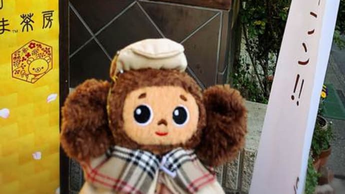 【レポ】嵐山ぷちチェブ会（2019.05.24）
