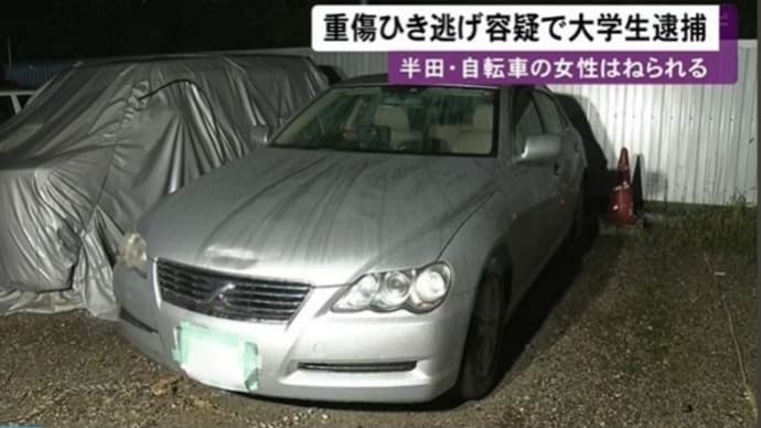 愛知で普通乗用車でチャリの女性を轢き逃げした大学生の男を逮捕