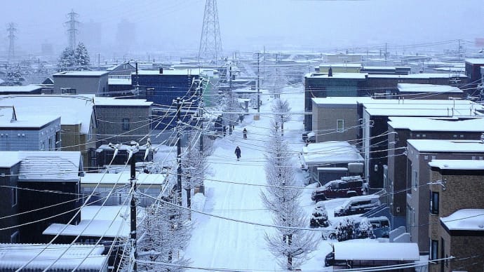 雪景色とグンバイヒルガオ