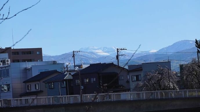 散歩写真 23/01/13