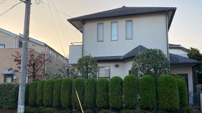 刈込み作業 新宿の植木屋鈴木商店のブログ